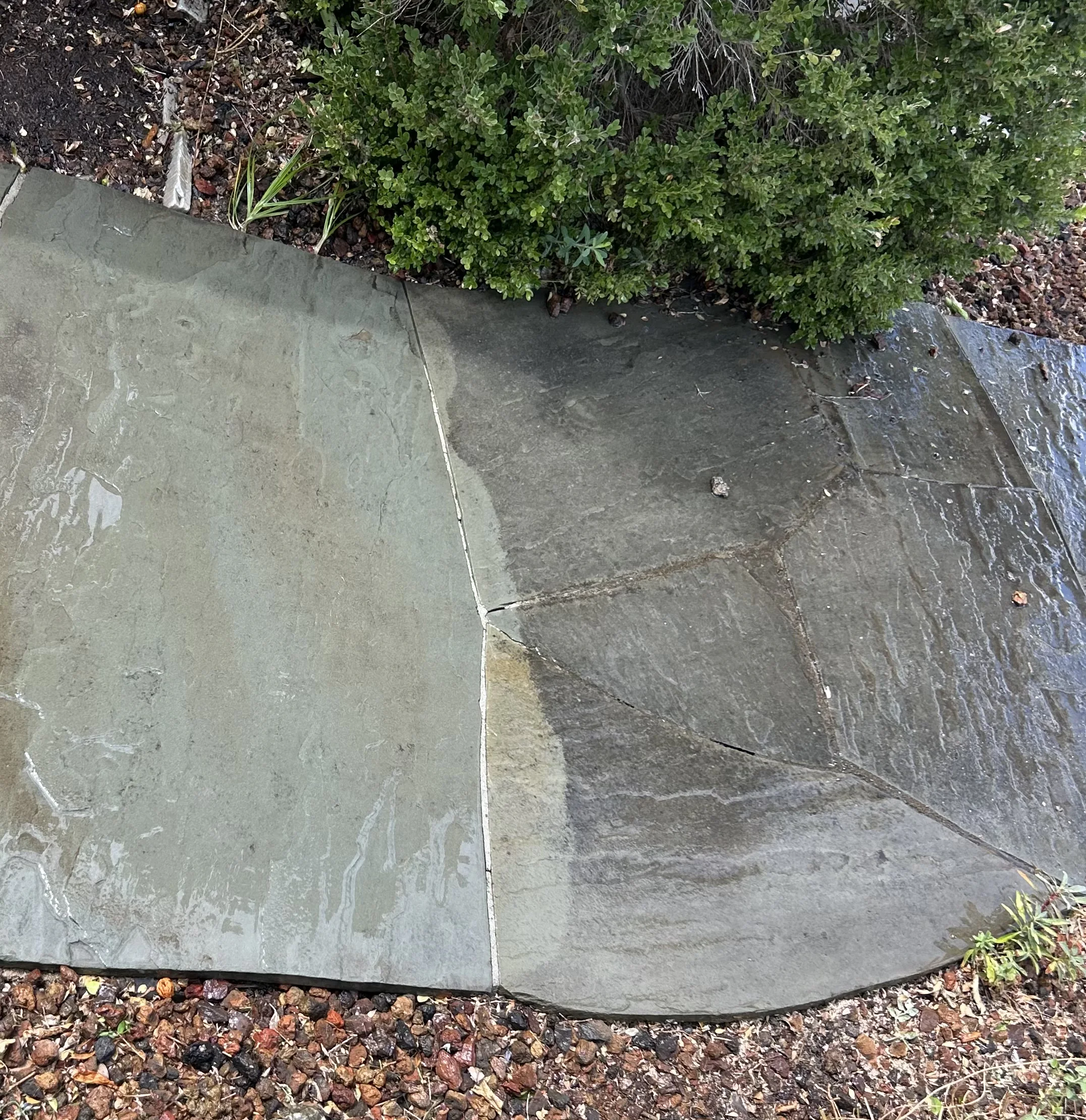 A flagstone walk Matt is washing, the clean half beside the dirty half