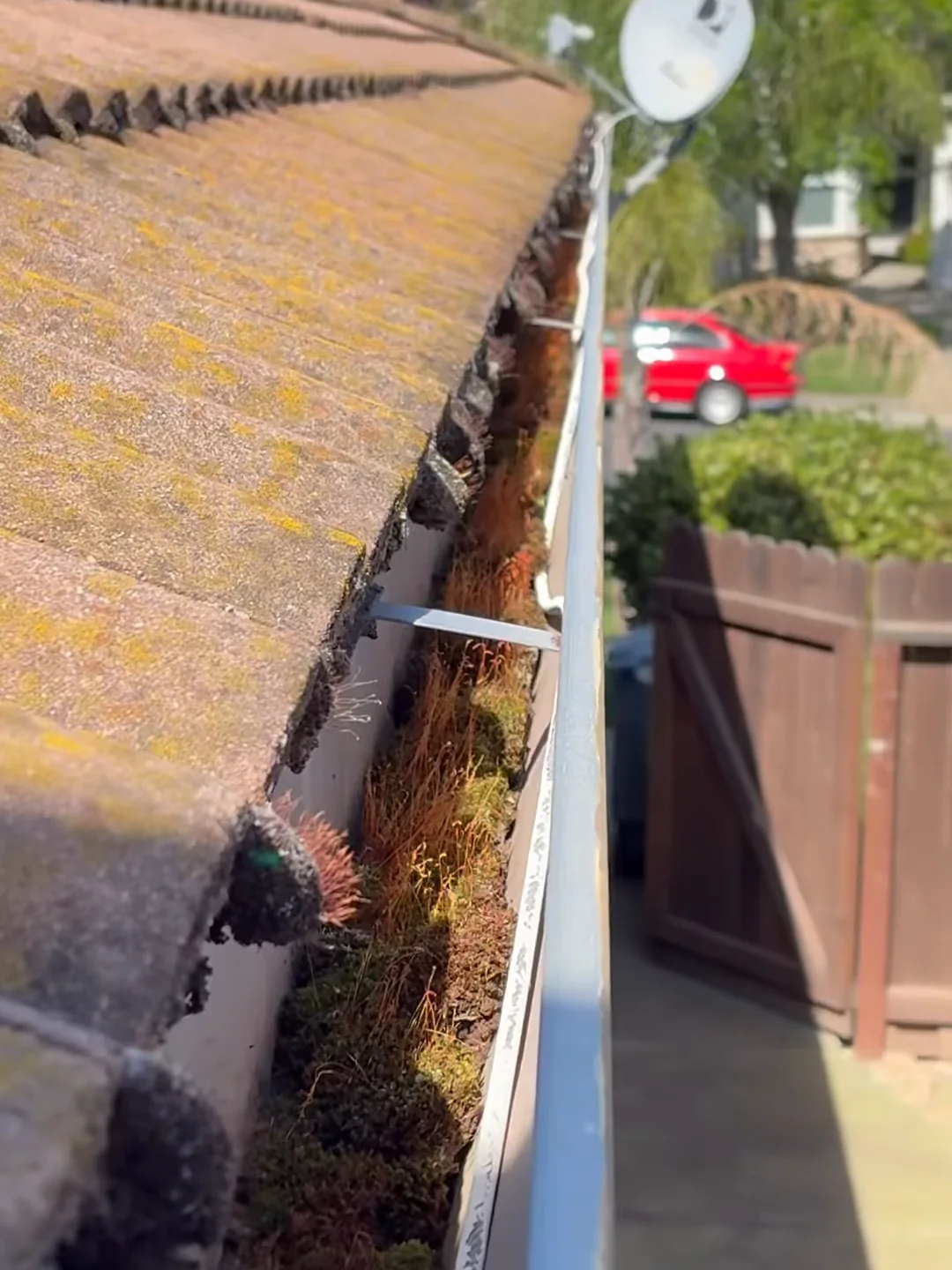 A gutter packed with moss along the edge of a mossy tile roof