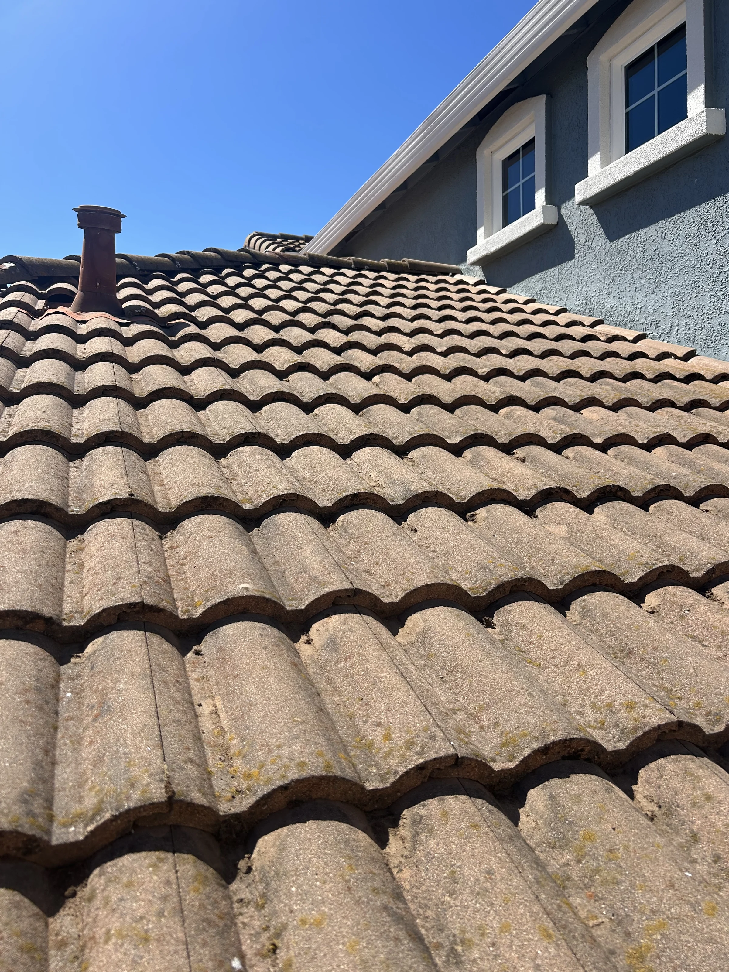 Moss along the tile rows of a roof, photographed by Matt